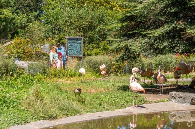 Cutten residents can walk to Sequoia Park Zoo.