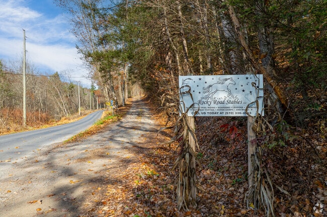 Farm tours and trail rides on horseback are a part of the fun at Rocky Road Stables in Mount Pleasant Columbia.