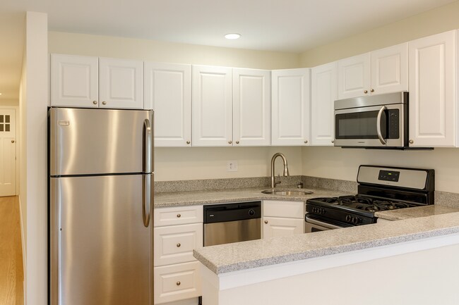 56 Egmont St unit 4, Brookline, MA 02446 - photo 3