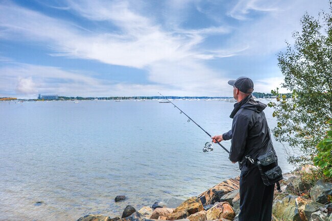 The Point's beauty is surrounded by the Salem Sound at Forest River Park.
