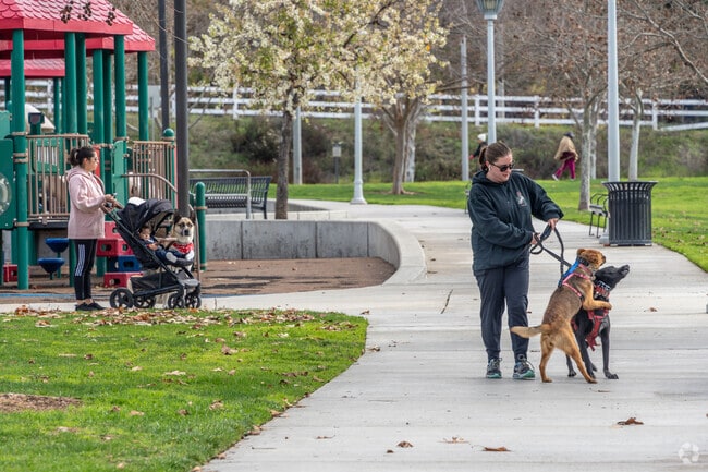 Enjoy a brisk morning walk at Andulka Park in Canyon Crest.