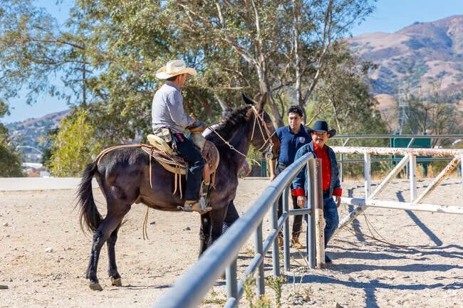 Sylmar residents ride their horses through the neighborhood.