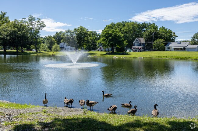 Even the wildlife enjoy the serenity of Riverlight Park's pond.