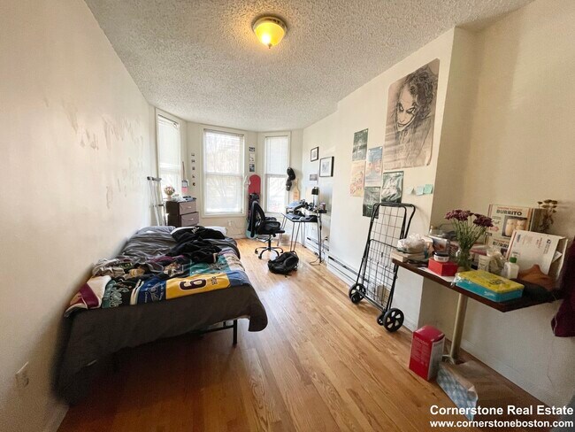 588 Columbus Ave unit 1, Boston, MA 02118 - photo 6