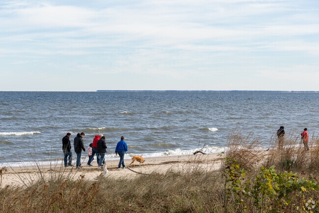 Spend the day searching for fossils and sharks' teeth along the Chesapeake Bay in Port Republic.