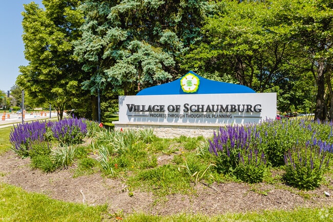 East Schaumburg makes up a portion of the roughly 74,000 residents of Schaumburg.