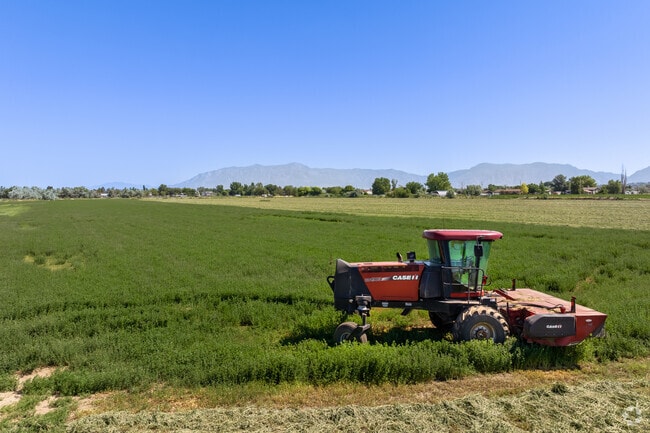 A red tractor in a vibrant green field in Hooper.