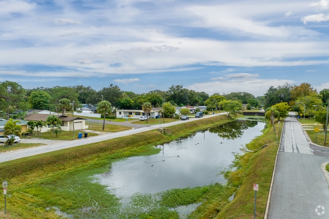 Lake Euclid has exotic birds hunting in the waters outside the houses.