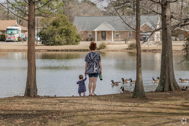 Discover nature and friendly wildlife at Sangaree Duck Park in Summerville, SC.