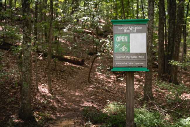 Bring your mountain bike to explore the trails on Raccoon Mountain in Haletown.