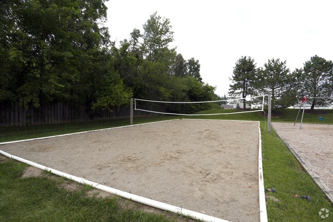 Volleyball Court