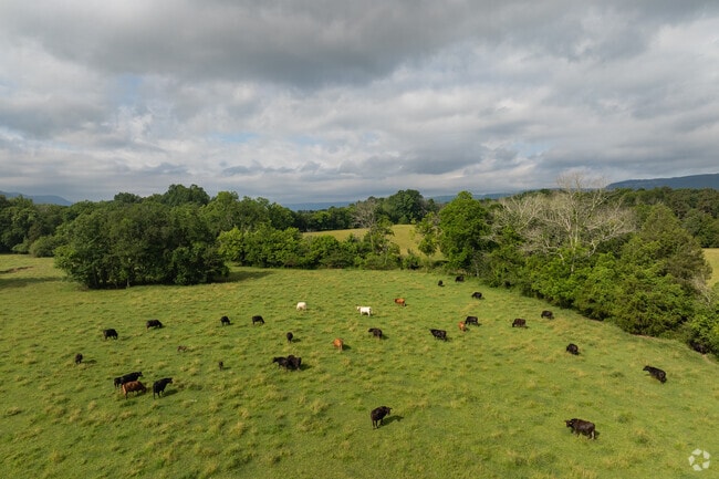Livestock are a major source of income for residents of Kensington, a LaFayette, Georgia neighborhood.