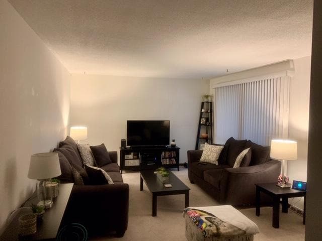 3111 Elmhurst Dr unit 1, Springfield, IL 62704 - photo 3