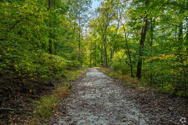 Explore nature with a peaceful hike through Gwynn Falls Park in Dickeyville.