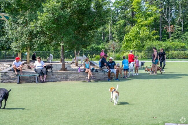 Short Pump dog park is large and host to socializing amongst dogs and owners.