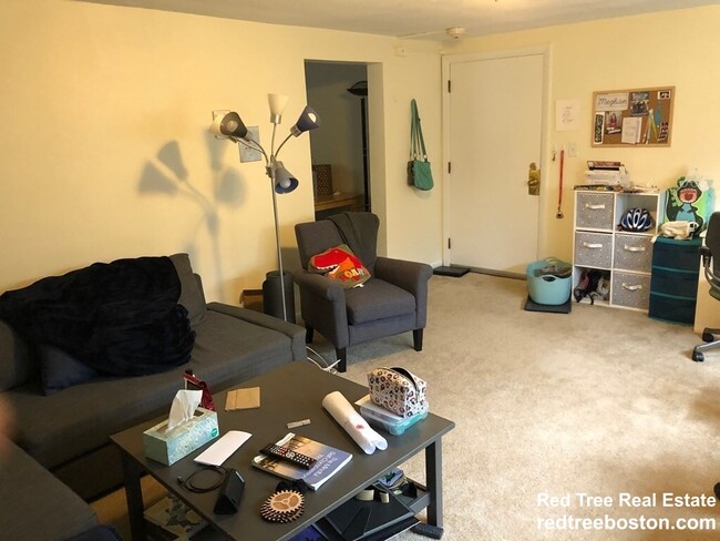13 Westford St unit 1, Boston, MA 02134 - photo 4