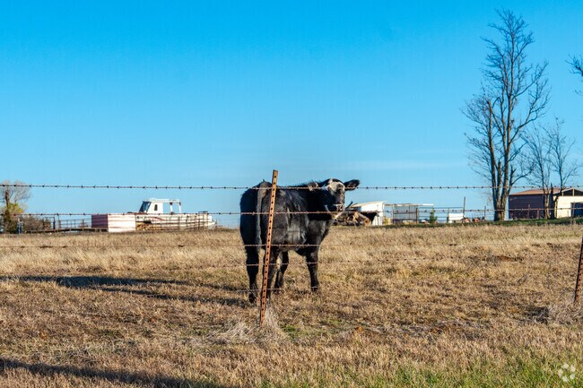 Live stock have plenty of room to graze in Willow View.