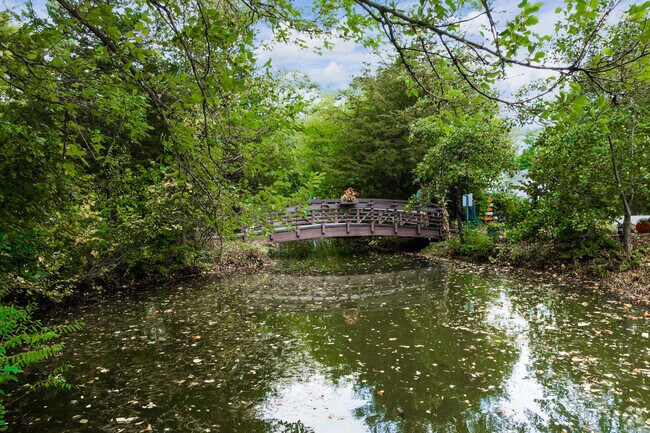 There are several bridges throughout Tower Lake for long walks along the water.