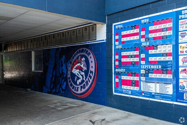 Binghamton Rumble Ponies games at Mirabito Stadium across the river from First Ward.