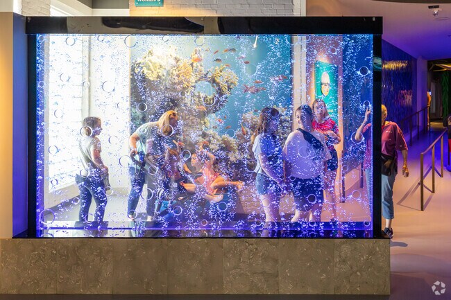 The Toledo Zoo Aquarium in Beverly has several hands on experiences with aquatic life.