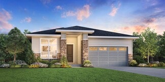 494 Basin Daisy St, Castle Rock, CO 80104