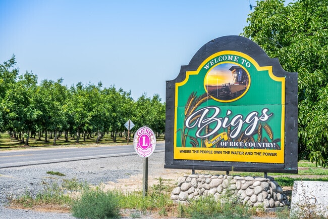 Welcome to Biggs, the heart of rice country.
