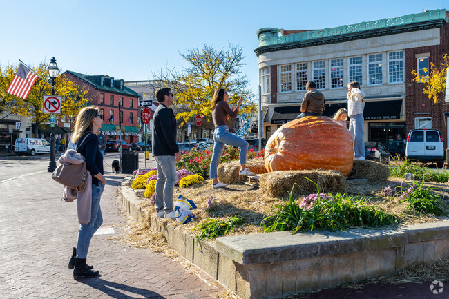 Enjoy the many decorations Annapolis puts up during the different seasons.