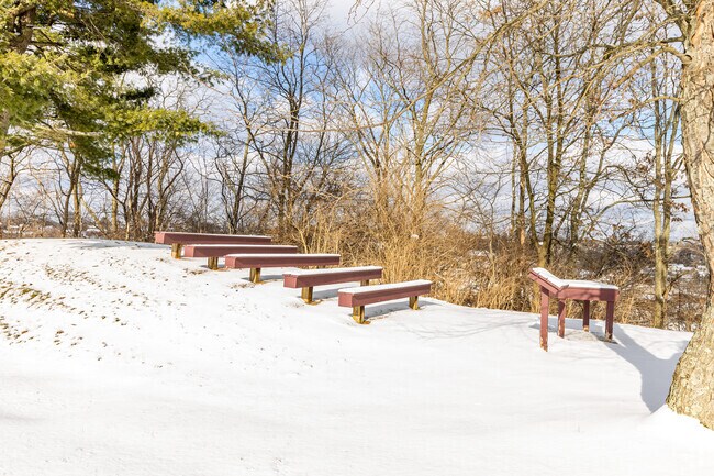 Your future is bright at Cornerstone Leadership Academy.