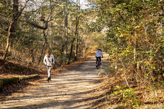 Enjoy scenic views and peaceful walks along the trails at Oak Grove Lake Park in Chesapeake.