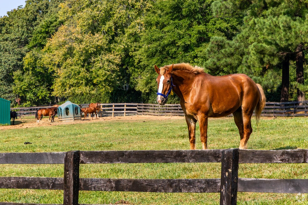 NH_Rivanna_552333_V3_DW_P2_030425