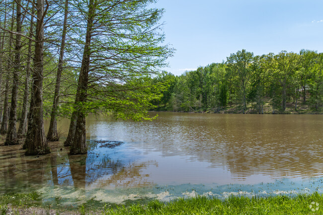 Hickey Lake in Forrest City is a nature lover's paradise, with breathtaking views and a tranquil setting.