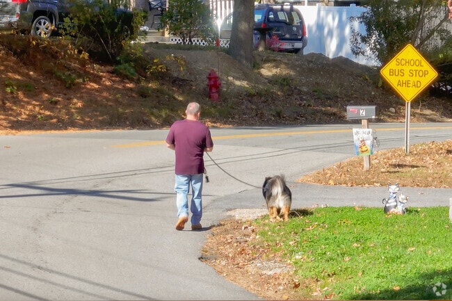 Lots of pet owners in the Assonet Bay neighborhood.