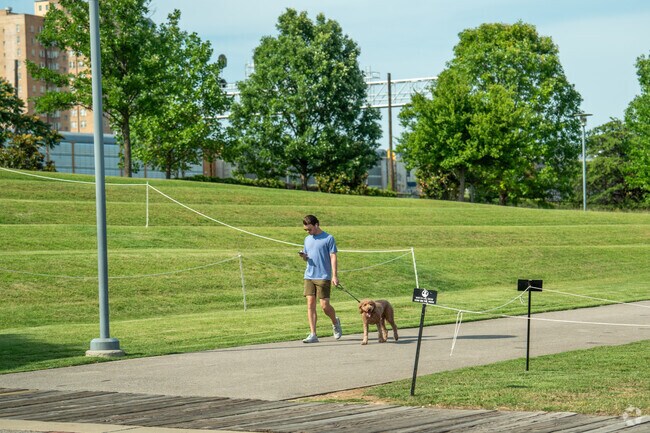 Take the puppy for a walk at Railroad Park near Wylam.