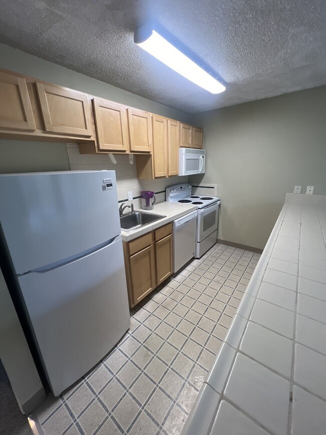 Kitchen. New refrigerator and dishwasher.