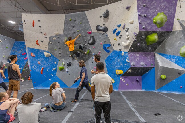 Movement Hampden features bouldering terrain, a yoga studio, and a fitness area.