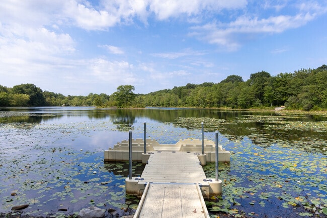 Lake Frances in Nescopeck State Park is a popular spot to fish for trout, bass, and panfish.