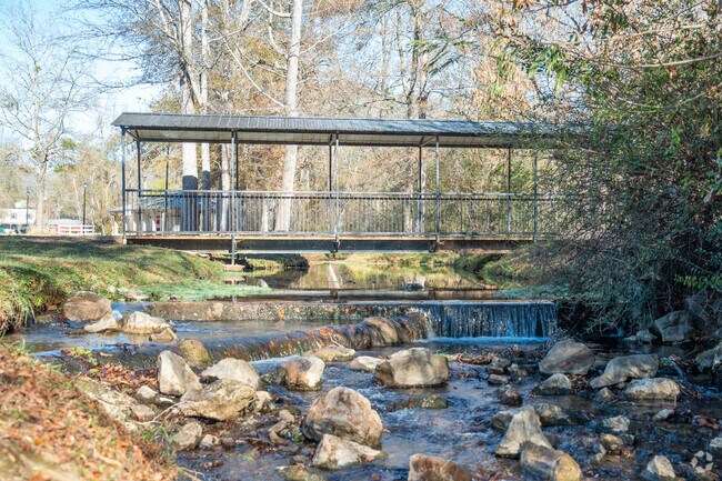 See how many fish you can spot in the stream at Big Springs Park in Springville.