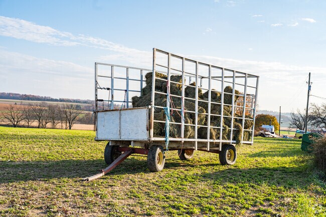 Ontelaunee's agricultural tapestry unfurls as it showcases the rustic charm of hay bales.