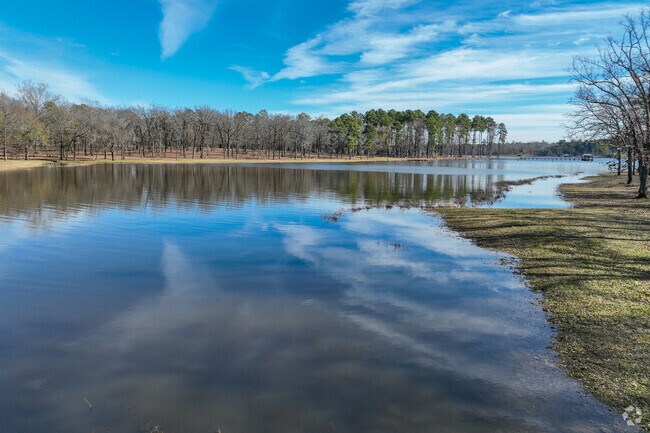 Swing by Cypress Black Bayou and enjoy playing in the water while having a family picnic.