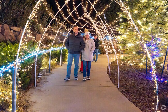 Walk through the tunnel of lights at the Christmas Light Festival.