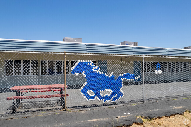 Riverview International Academy located in Lakeside is home to the Mustangs.