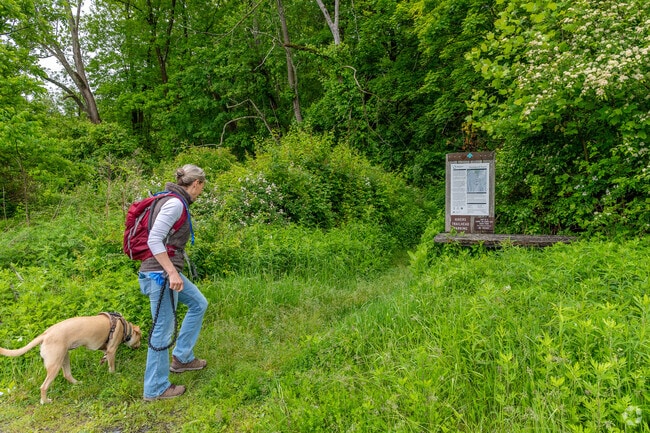 Spanning 1,706 acres, Goosepond Mountain State Park remains largely undeveloped, preserving its natural landscapes of woods, fields, and wetlands.
