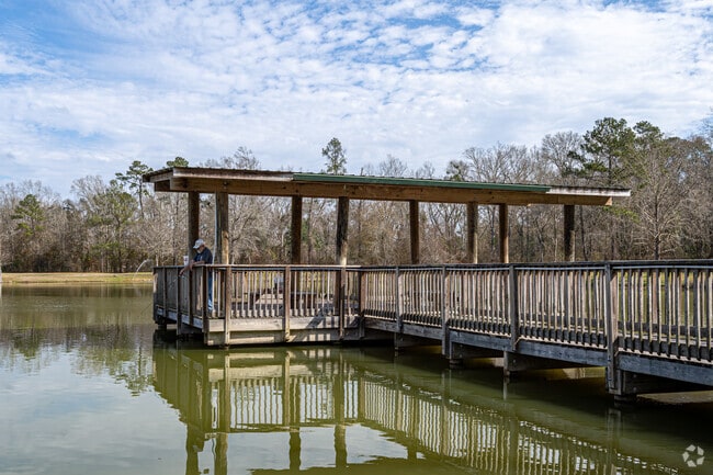 Fish in the pond at the Ponchatoula Area Recreation District.