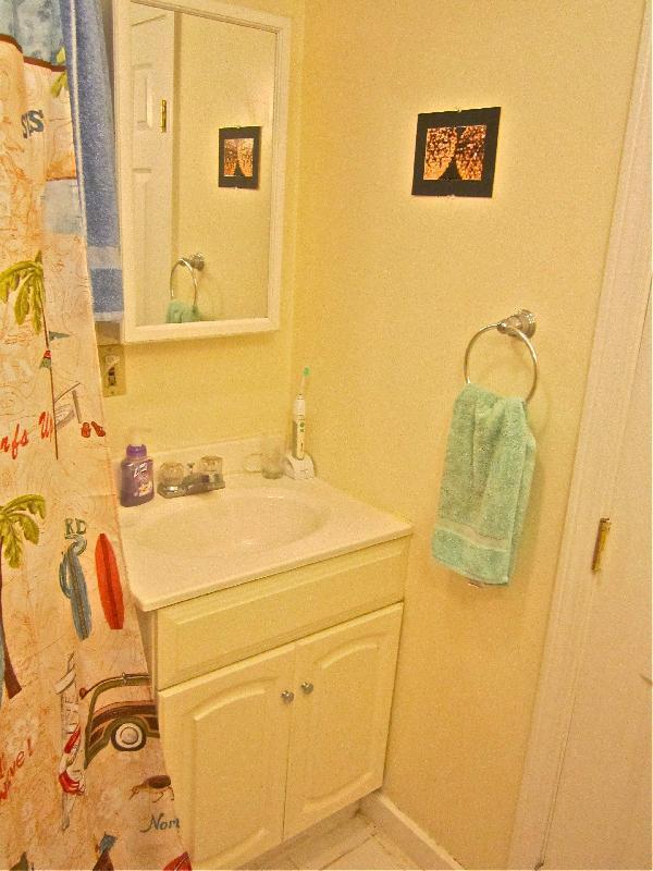 22 Symphony Rd unit 49-18, Boston, MA 02115 - photo 4