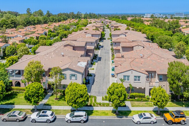 Elevated view showing many condominiums with lush trees.