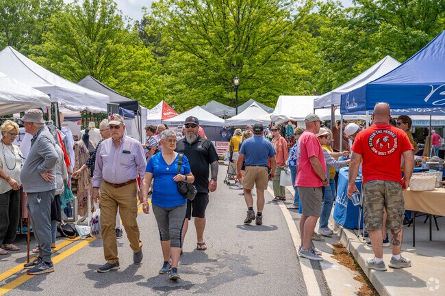 You'll find hundreds of wonderful vendors at the Braselton Antique and Artisan Festival, each eager to showcase their unique treasures.