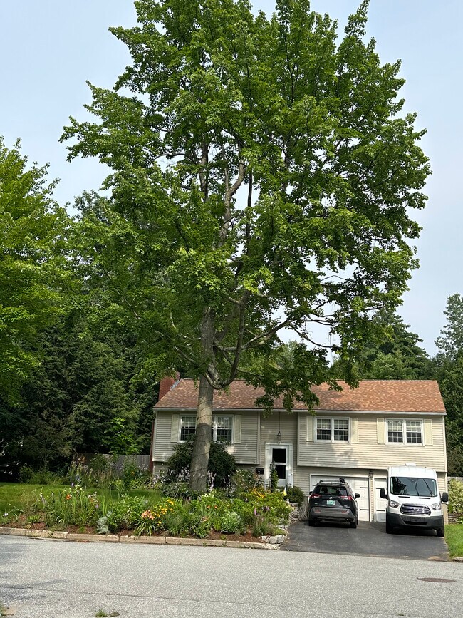 7 Yandow Dr, South Burlington, VT 05403