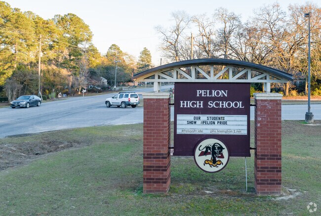 Pelion High School