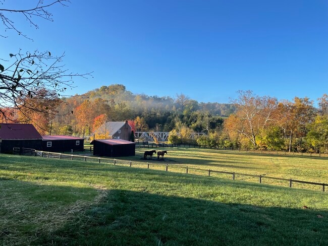 3899 Augusta Minerva Rd, Augusta, KY 41002 - photo 3