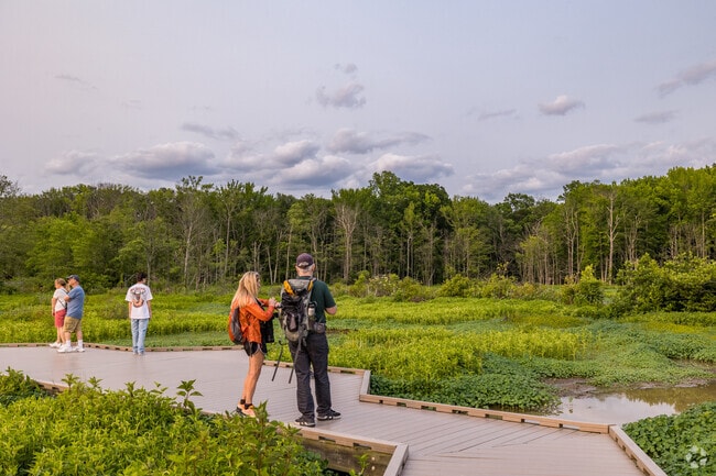 Situated in Franconia, Huntley Meadows Park have a lot of wildlife habitat a